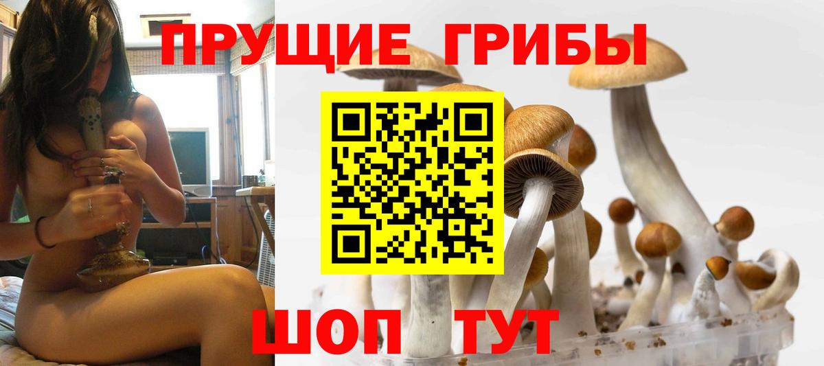 Галлюциногенные грибы Psilocybine cubensis  Вход с VPN  Мирный 