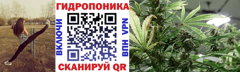 Канабис марихуана  Мирный 