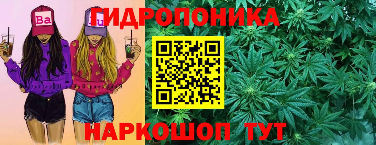 Канабис Amnesia  Вход с VPN  Мирный  Конопля VHQ 